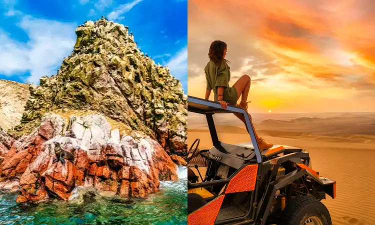 Sea lions and seagulls in the Ballestas Islands and Huacachina Oasis